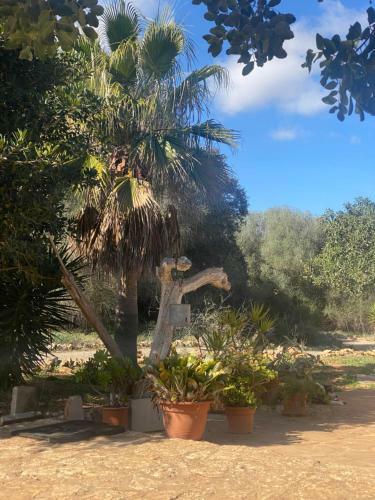 Bed & Breakfast Studio Doppelzimmer 2-3 Pers Mit Terrasse - Mit Pool Auf Finca Mallorca