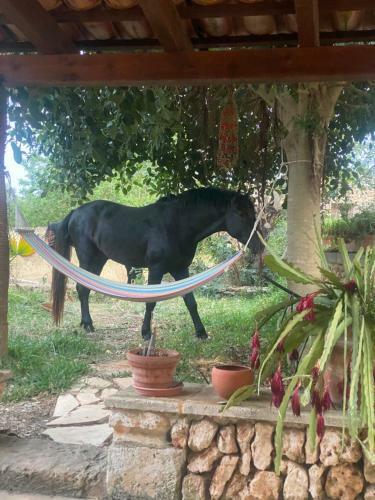 Bed & Breakfast Studio Doppelzimmer 2-3 Pers Mit Terrasse - Mit Pool Auf Finca Mallorca