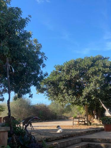 Bed & Breakfast Studio Doppelzimmer 2-3 Pers Mit Terrasse - Mit Pool Auf Finca Mallorca