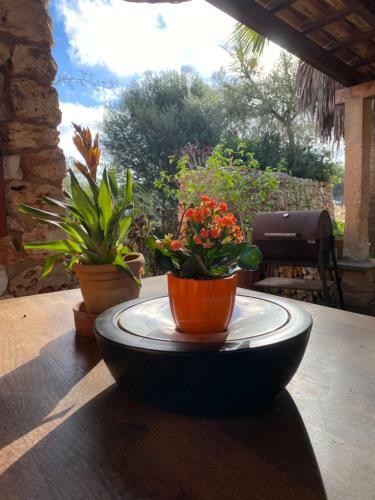 Bed & Breakfast Studio Doppelzimmer 2-3 Pers Mit Terrasse - Mit Pool Auf Finca Mallorca