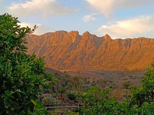 Agroturismo Los Naranjos Paradise
