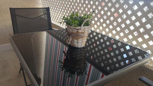 Apartamento Pepi Puerto (adults Only)
