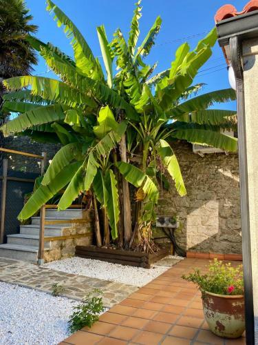 Apartamento Cotolai