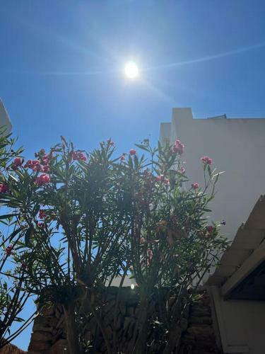 Apartamento Great Penthouse With Pool And Private Roof Terrace