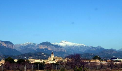 Villa Finca Santa Maria Near Palma