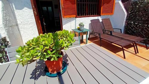 Santa Polita