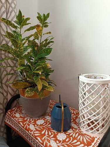 Apartamento Centro. Bah�a. Estaciones.