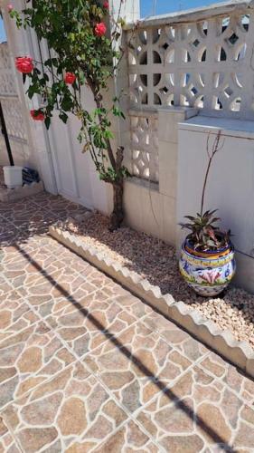 Maison Santa Pola