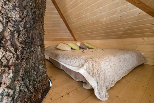 Bed & Breakfast Domaine Arvor & Spa