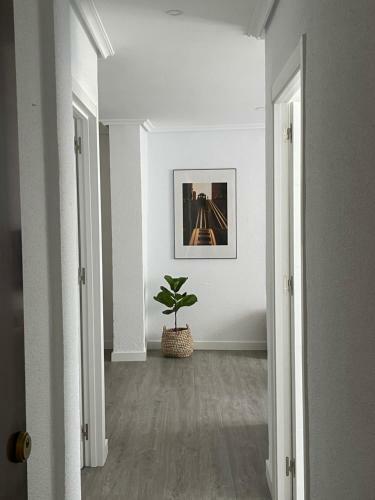 Apartamento En El Coraz�n De Santander
