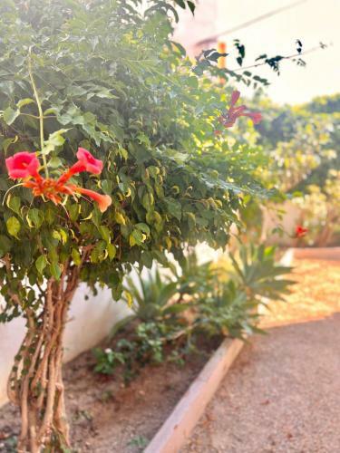Apartamento Sweet Sandy Beach - 1 Minute Walk To Mediterranean Beaches