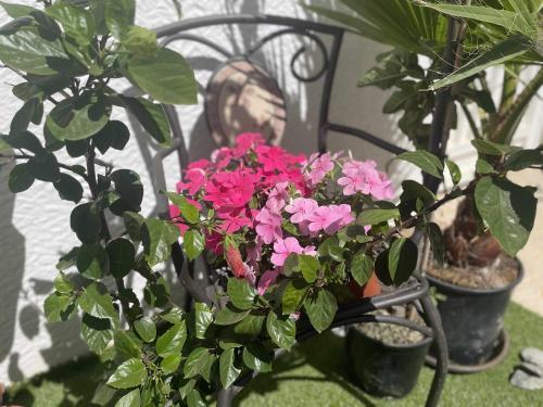 Apartamento Flamingo Gran Alacant