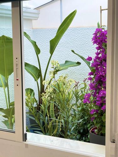 Apartamento Flamingo Gran Alacant