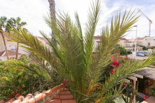 Rentafive Urb Piscina Chalet Terrazas 23143