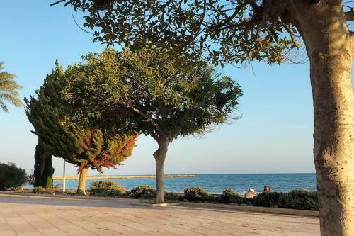 �apartamento Playa Este!