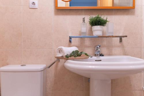 Apartamento Castilla Suit 17