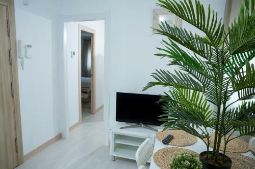 City Town Apartment