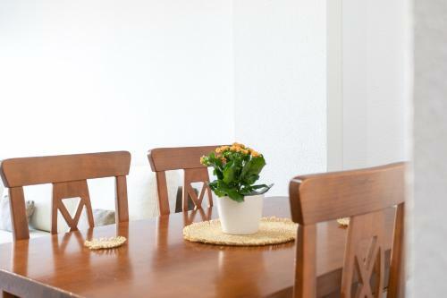 Apartamento Cipri
