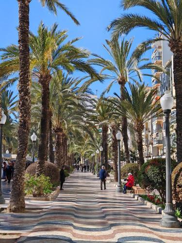 Apartamento San Pedro Con Ascensor Y Recogida