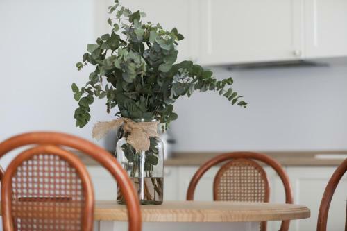 Le Petit Apartamentos