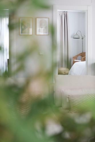 Le Petit Apartamentos