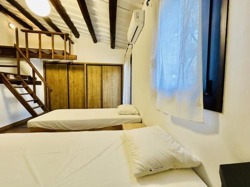 Agudes Costabravasi