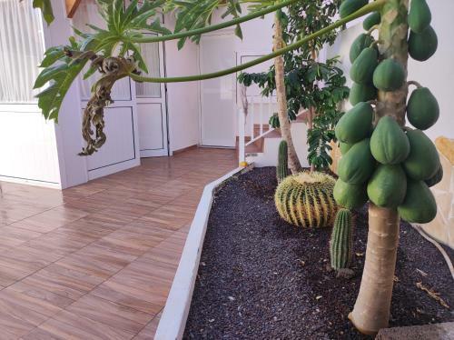 Apartamento Casita La Gomera