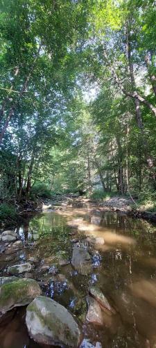 La F�brica De Targarona