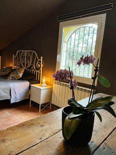 Costa Brava Quiet Villa With Private Pool And Jacuzzi