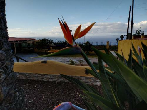 Apartamento La Costa