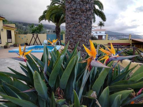 Apartamento La Costa