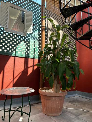 Apartamento Dream Wish