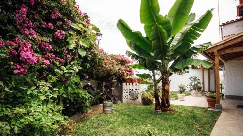 Casa Tulipanes & Spa