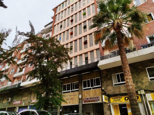 Apartamentos Carrillo 6