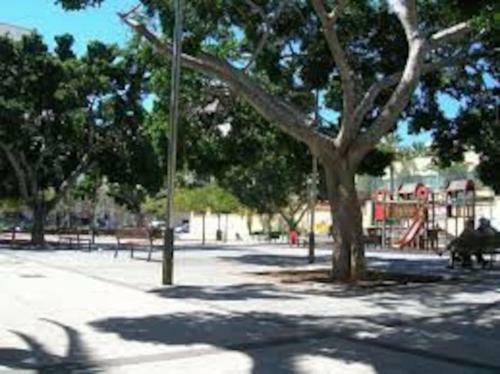 Apartamento Bright Lovely Quiet Flat Very Centric In Sc