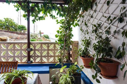 Casa Yeyo, Lomo Bermejo