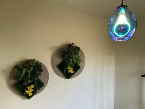 Apartamento Dream Anaga