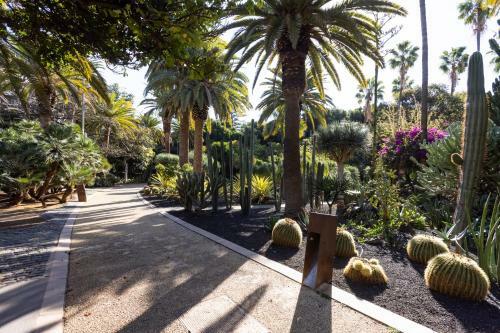 Apartamento Home2book Bright & Comfy Apt Santa Cruz Center