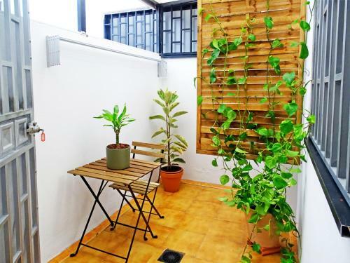 Apartamento Santa Cruz De Tenerife, Acogedor, C�ntrico, Garaje