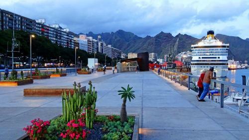 Apartamento Santa Cruz De Tenerife, Acogedor, C�ntrico, Garaje