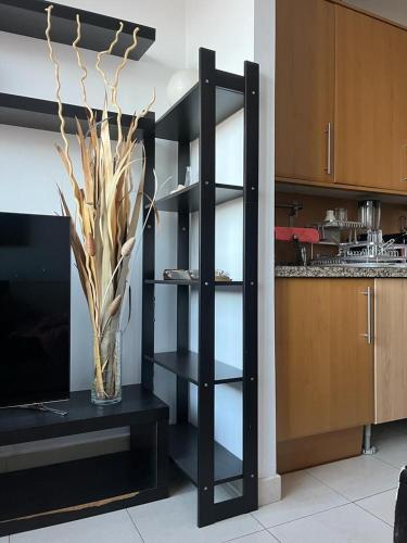 Apartamento Privileged Tower