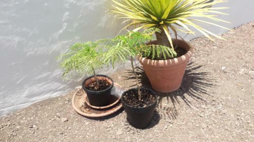 Nueva Casa Rural Piscina Privada