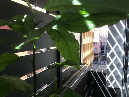 Apartamento Center Santa Cruz De Tenerife Parking