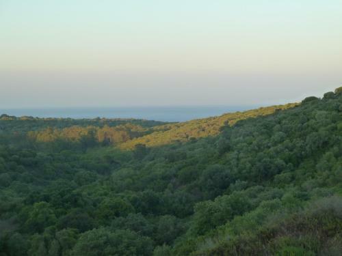 Apartamento Alcaidesa Golf And Nature