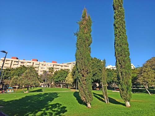Apartamento Helles Und Ger�umiges City Loft Santa Cruz