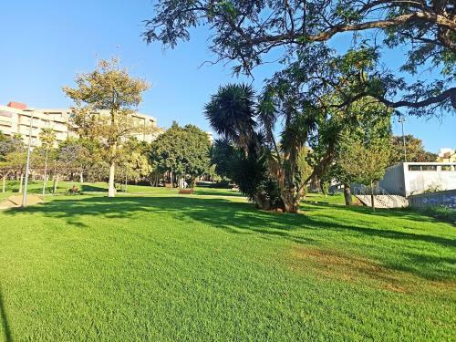 Apartamento Helles Und Ger�umiges City Loft Santa Cruz