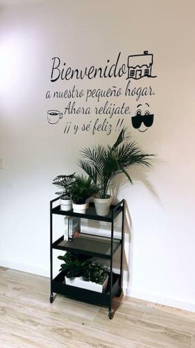 Apartamento C�ntrico Y Acogedor Eva