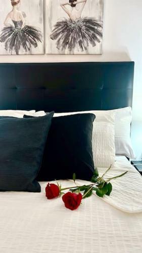 Apartamento C�ntrico Y Acogedor Eva