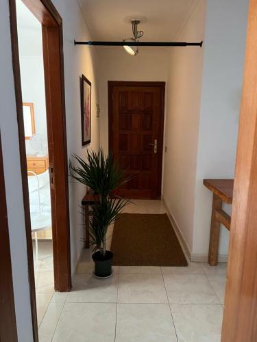 Apartamento Cozy