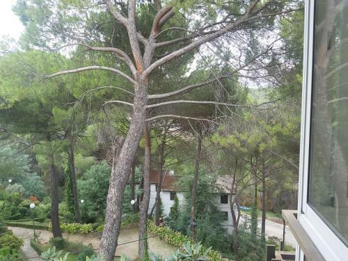 Apartamento Pantano De San Juan